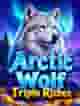 Arctic Wolf Triple Riches